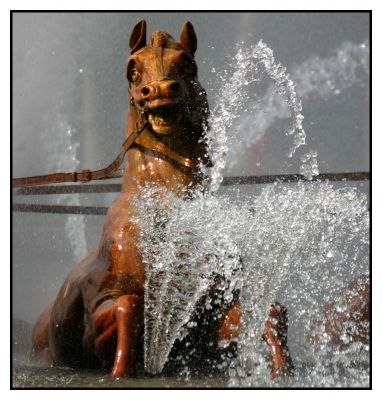 Clic pentru a vizualiza imaginea în dimensiunile reale