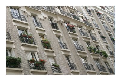 Kliko për të parë imezhin me permasa të plota