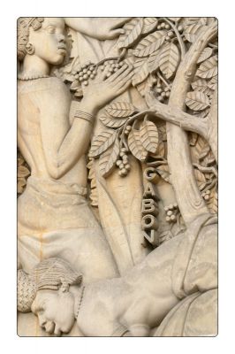 Klõpsa pildi vaatamiseks täissuuruses