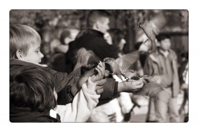 Клікніть щоб побачити фото повного розміру