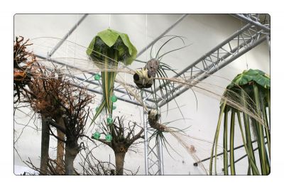 クリックでフルサイズのイメージを表示