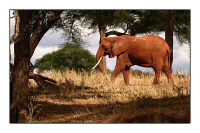 Cliciwch i weld y delwedd faint-llawn