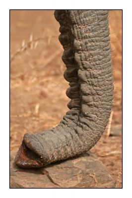 Klik for at se fuld størrelse billede