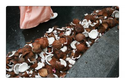 點選圖片以觀看原圖