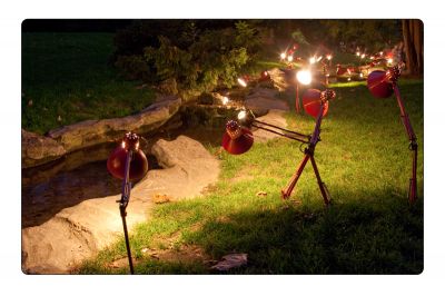 Clicca per l'immagine full size