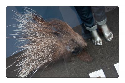 Натиснете за да видите снимката уголемена