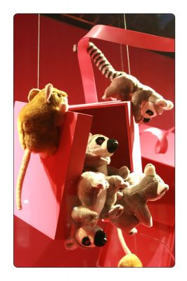 Kliknite za ogled večje slike