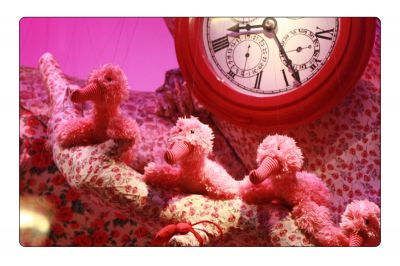 Tam boy görünüm için tıklayın