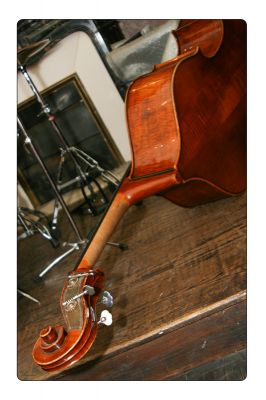 Clic pentru a vizualiza imaginea în dimensiunile reale