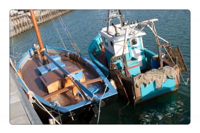 Hemen sakatu irudia tamaina osoan ikusteko