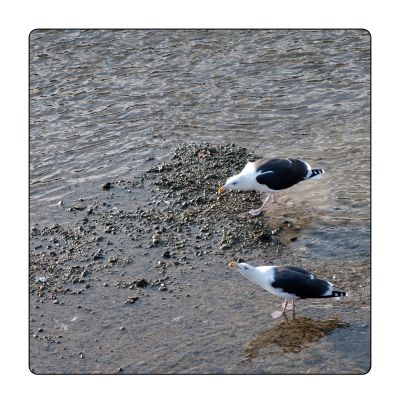 클릭하여 원래 크기로 보기