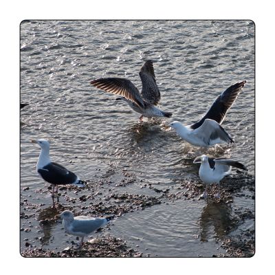 Pulsa aquí para ver la imagen a tamaño completo