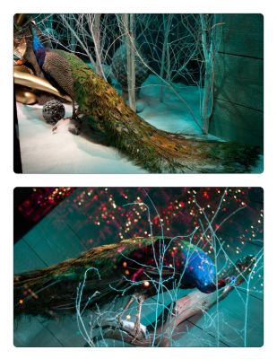 클릭하여 원래 크기로 보기