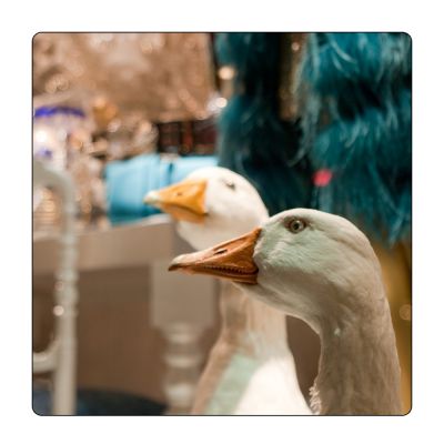 पूरे आकार की इमेज कि लिये क्लिक करॅ