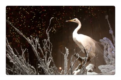 클릭하여 원래 크기로 보기