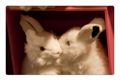 पूरे आकार की इमेज कि लिये क्लिक करॅ