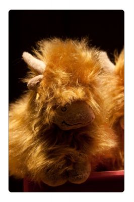 Κάντε κλικ για να δείτε την εικόνα σε πλήρες μέγεθος