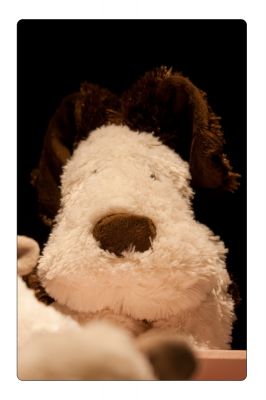 คลิ๊กเพื่อดูขนาดภาพเต็ม