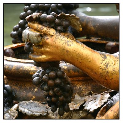 Cliciwch i weld y delwedd faint-llawn