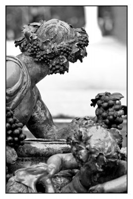 Cliciwch i weld y delwedd faint-llawn