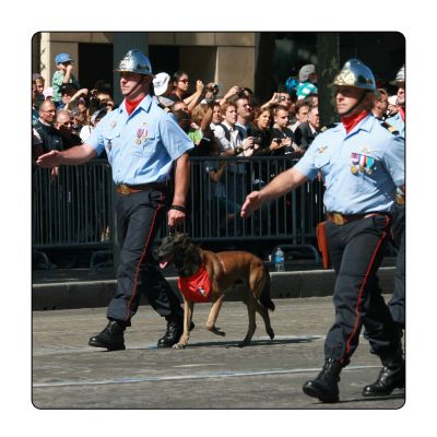 Clic pentru a vizualiza imaginea în dimensiunile reale