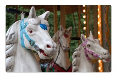 Cliqueu aquí per veure la imatge a la mida màxima