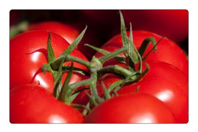 Klicka för stor bild