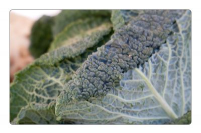 Klikněte pro zobrazení původního obrázku