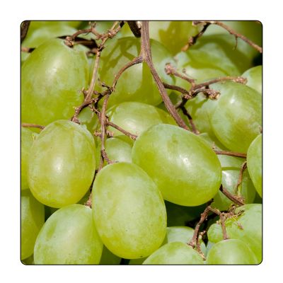 Klikni za sliku u punoj veličini