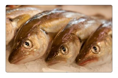 Klik for at se fuld størrelse billede