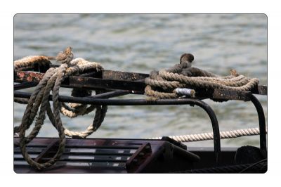 Klikněte pro zobrazení původního obrázku