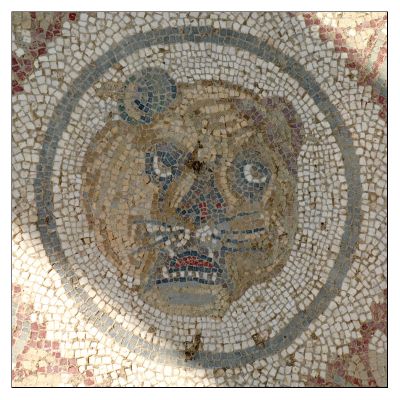 Clique Para Ampliar essa Imagem