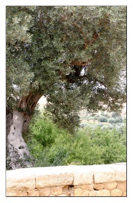 클릭하여 원래 크기로 보기