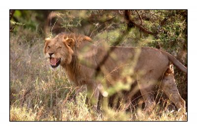 Klik op de foto om originele grootte te bekijken