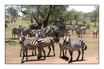 Klikněte pro zobrazení původního obrázku