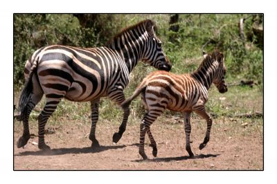 Натиснете за да видите снимката уголемена