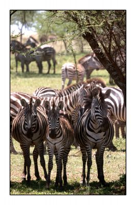 Klikkaa kuvaa nähdäksesi se täysikokoisena